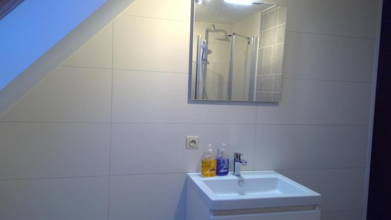 De Blauwvoet Studio Apartment Nieuwpoort Bagian luar foto